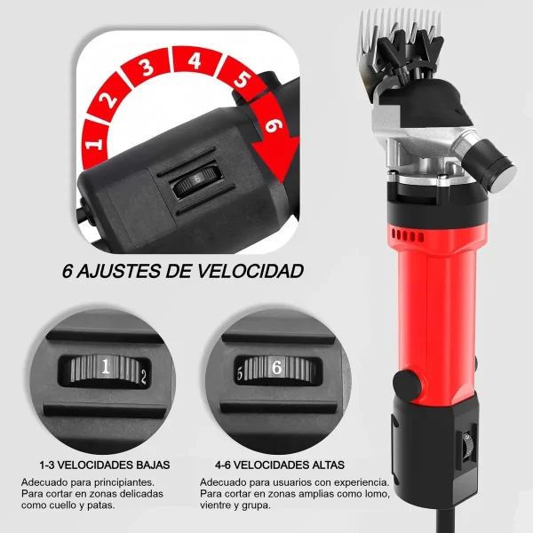 Esquiladora Eléctrica Ecodrop 220V Para Ovejas - Imagen 2
